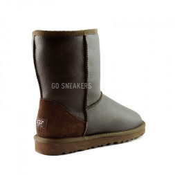 Men's Metallic Chocolate